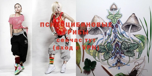 бутират Баксан