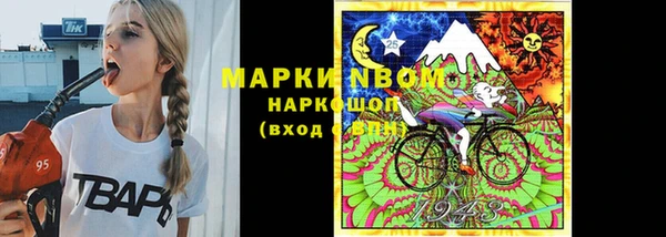 соль ск Новокубанск