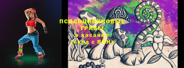 МДПВ Новозыбков